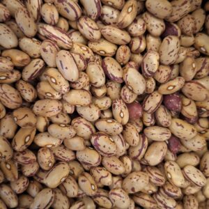 Fagioli borlotti bio 500 gr